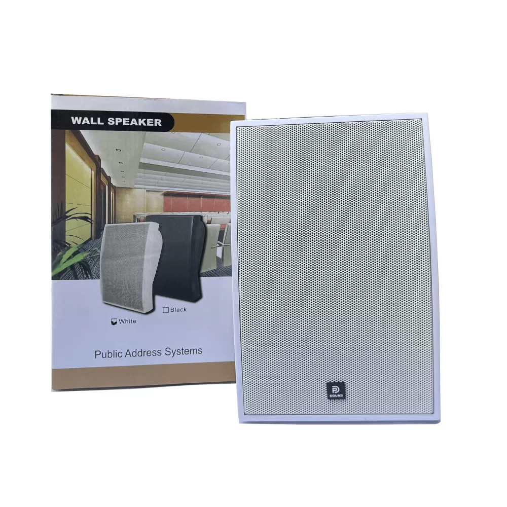 Loa treo tường Dp Sound WS - 621