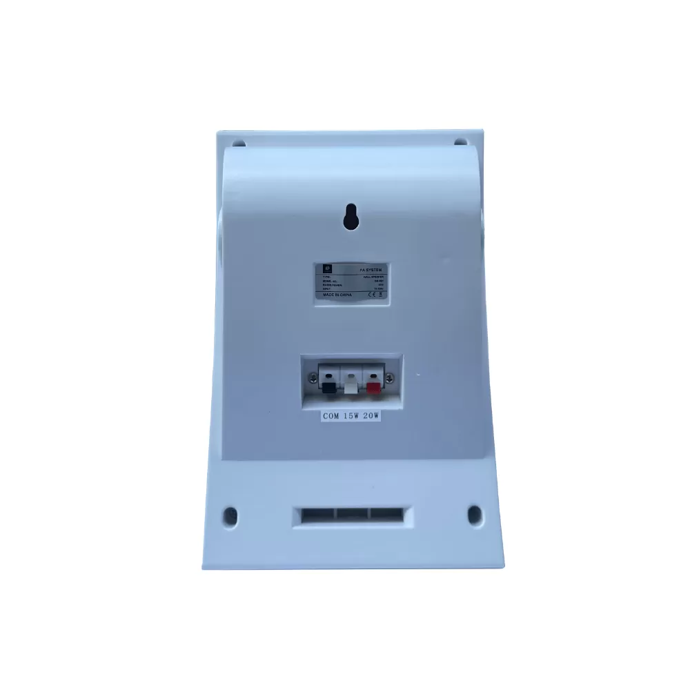 Loa treo tường Dp Sound WS - 621