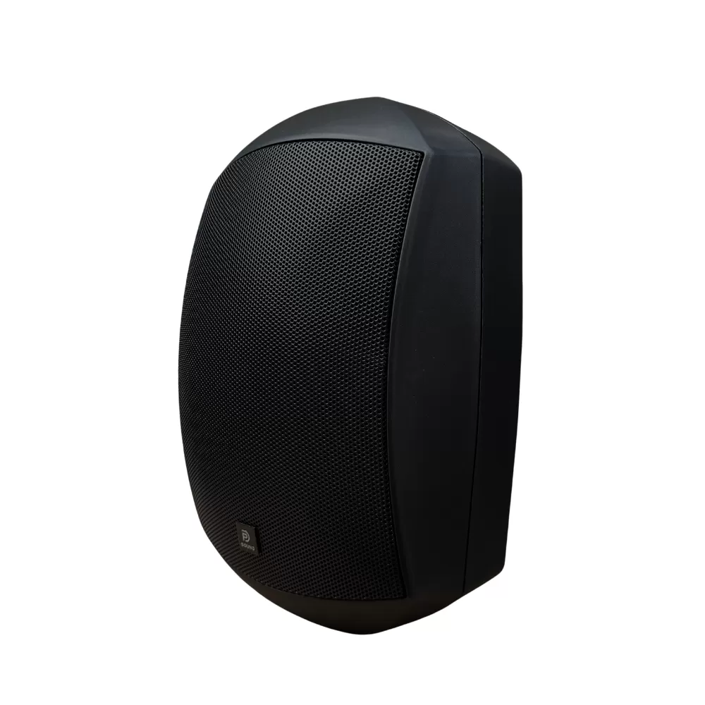 Loa Treo Tường Dp Sound WS - 623 (Chống Nước IP 64)