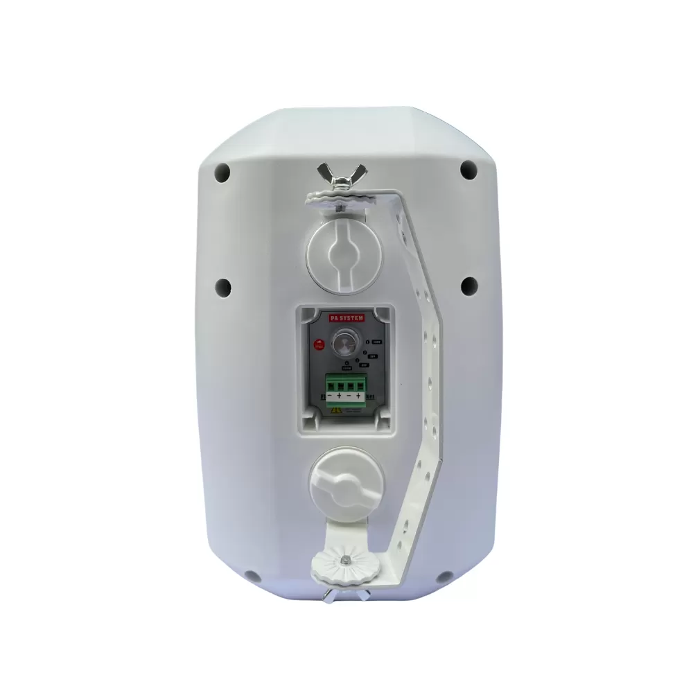 Loa Treo Tường Dp Sound WS - 623