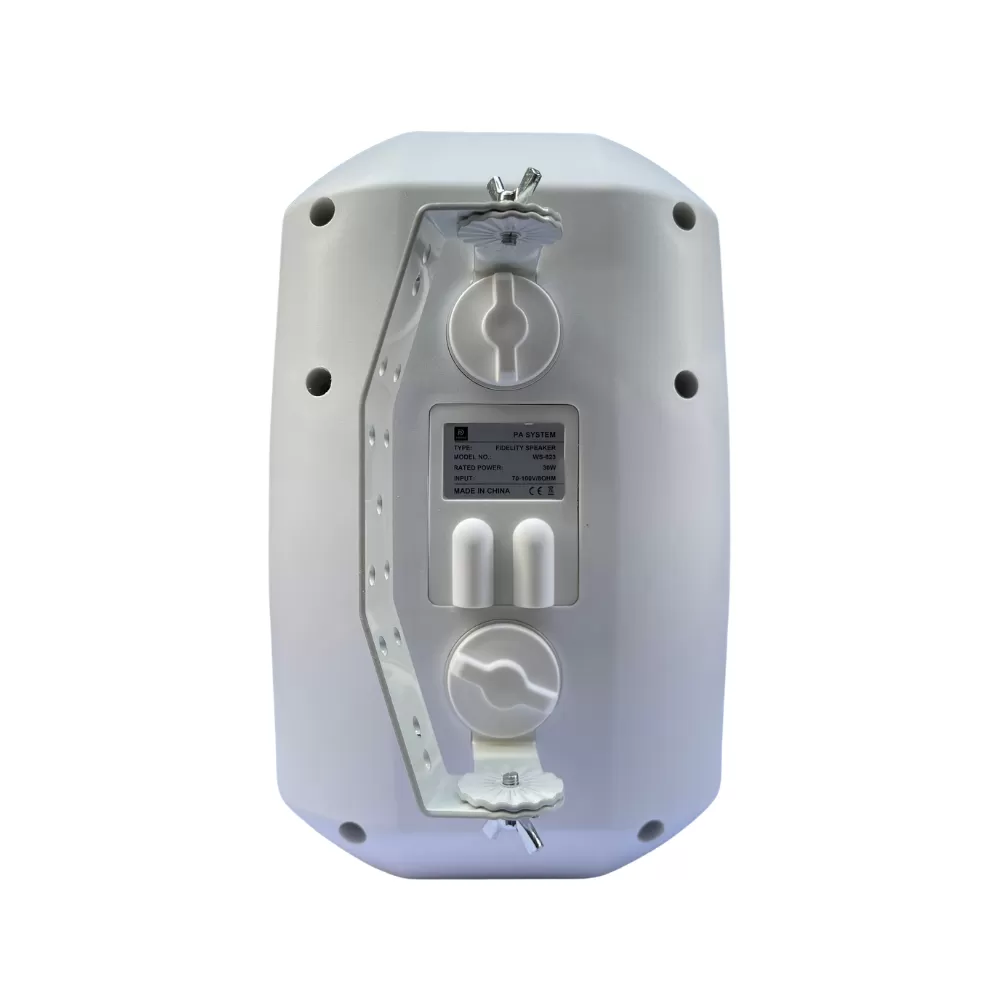 Loa Treo Tường Dp Sound WS - 623