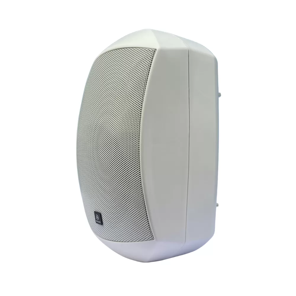 Loa Treo Tường Dp Sound WS - 623