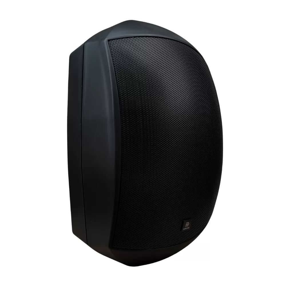 Loa Treo Tường Dp Sound WS - 625 (Chống Nước IP 64)