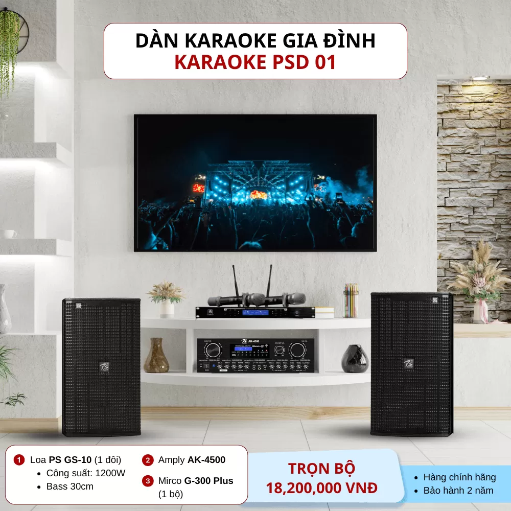 Dàn Âm Thanh Karaoke Gia Đình PSD 01