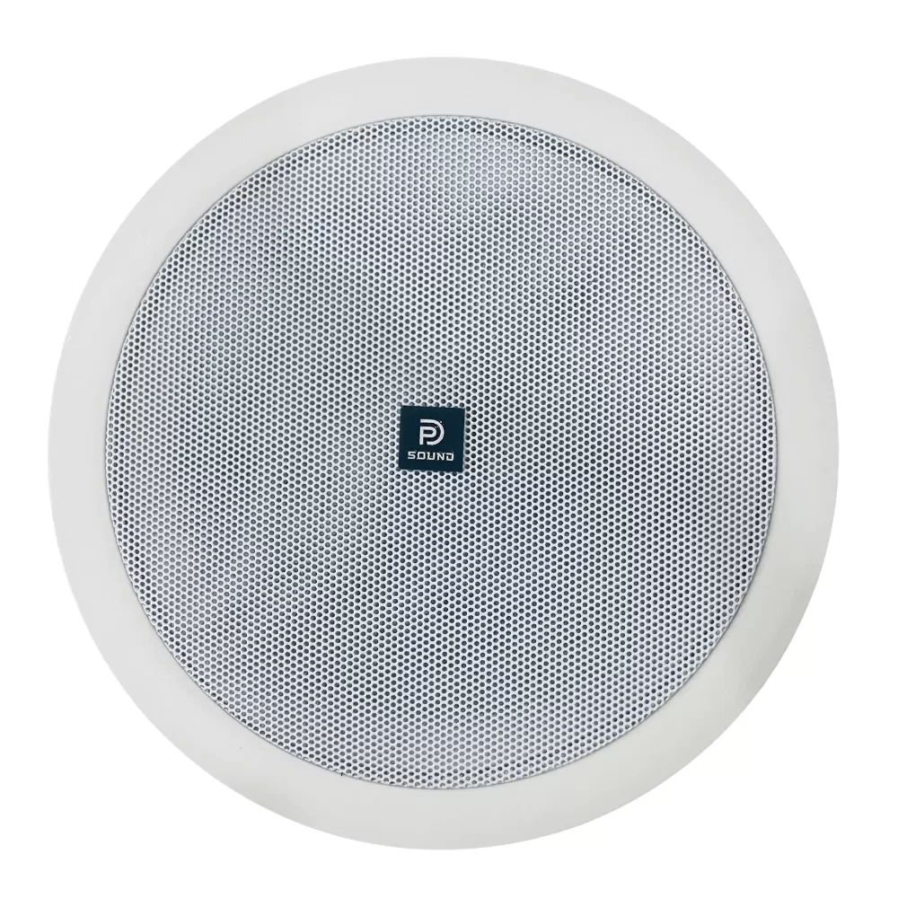 Loa Âm Trần Bluetooth DP Sound CLS-620AU