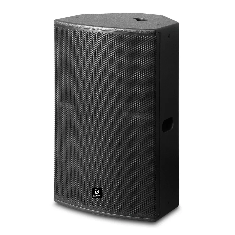 Loa Hội Trường DP Sound LH-15HII ( Bass 15