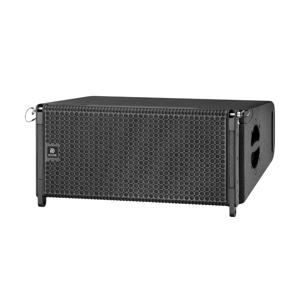 Loa Line Array Dp Sound W-210C (Công Suất 2800W)