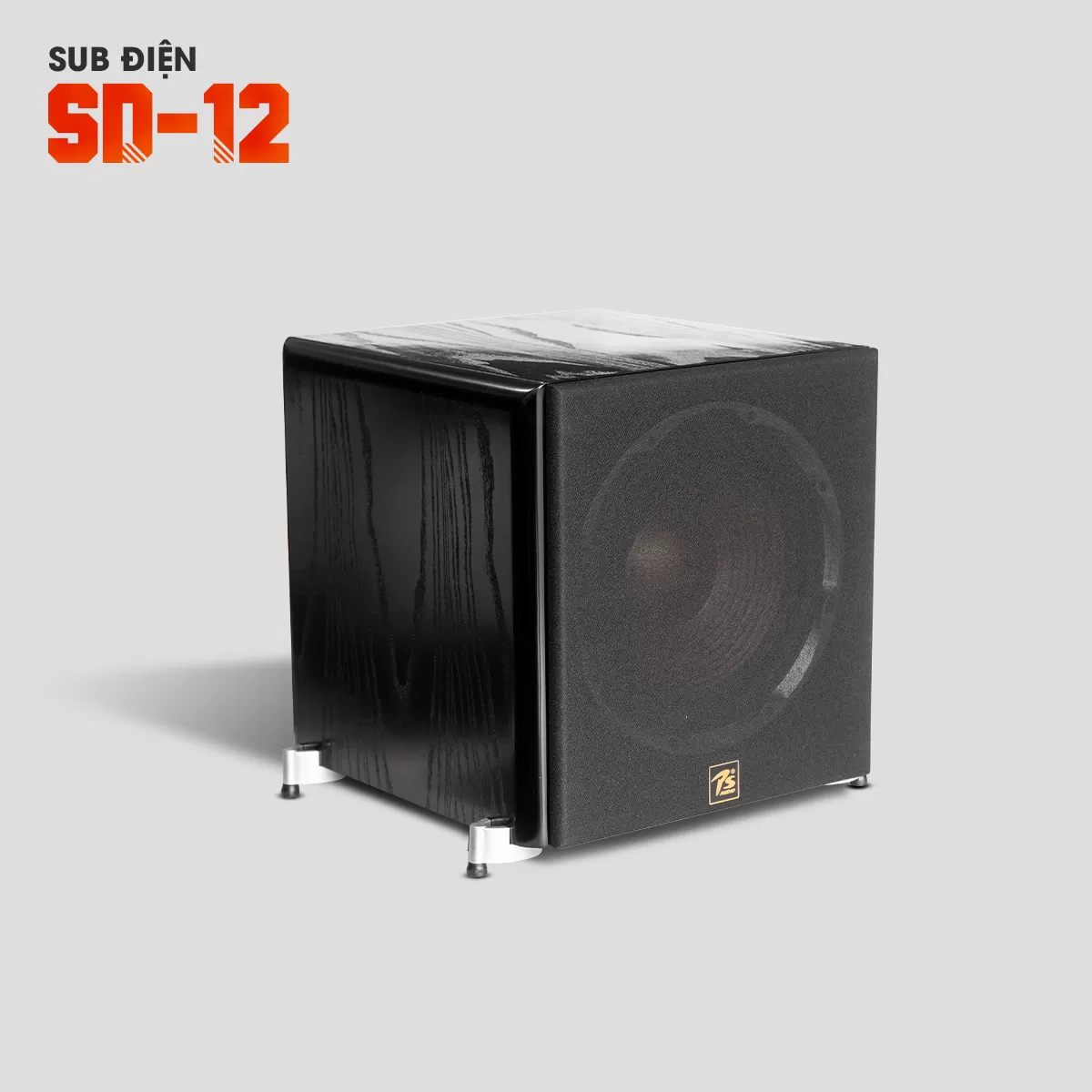 Loa Sub Điện SD-12