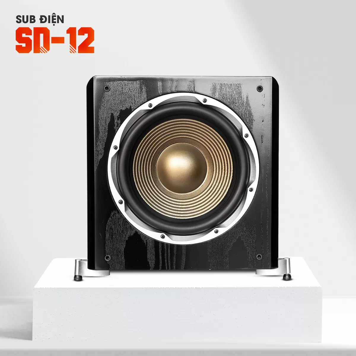 Loa Sub Điện SD-12