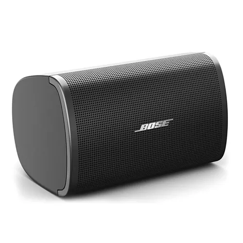 Loa Bose DesignMax DM2S