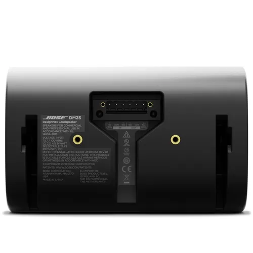 Loa Bose DesignMax DM2S