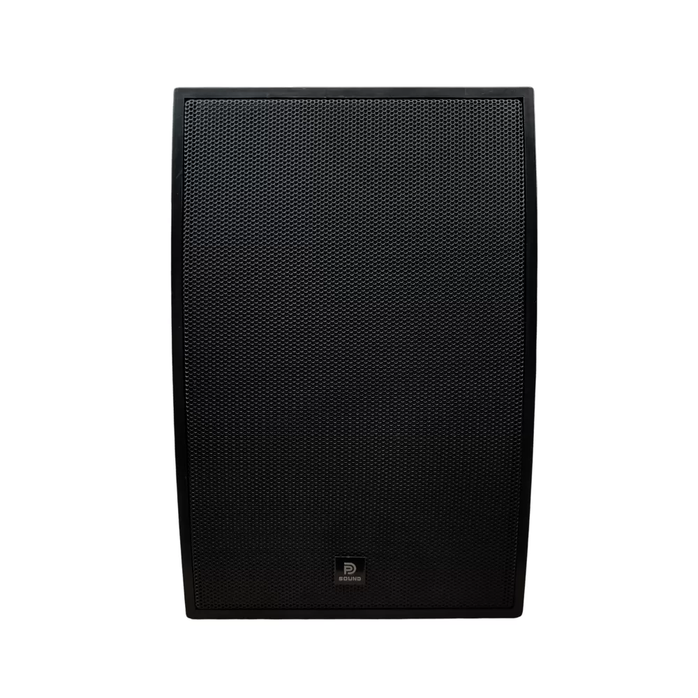 Loa treo tường Dp Sound WS - 621