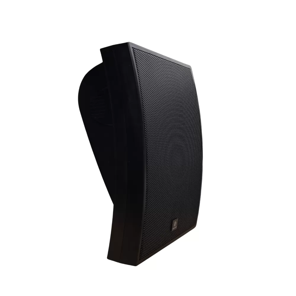 Loa treo tường Dp Sound WS - 621