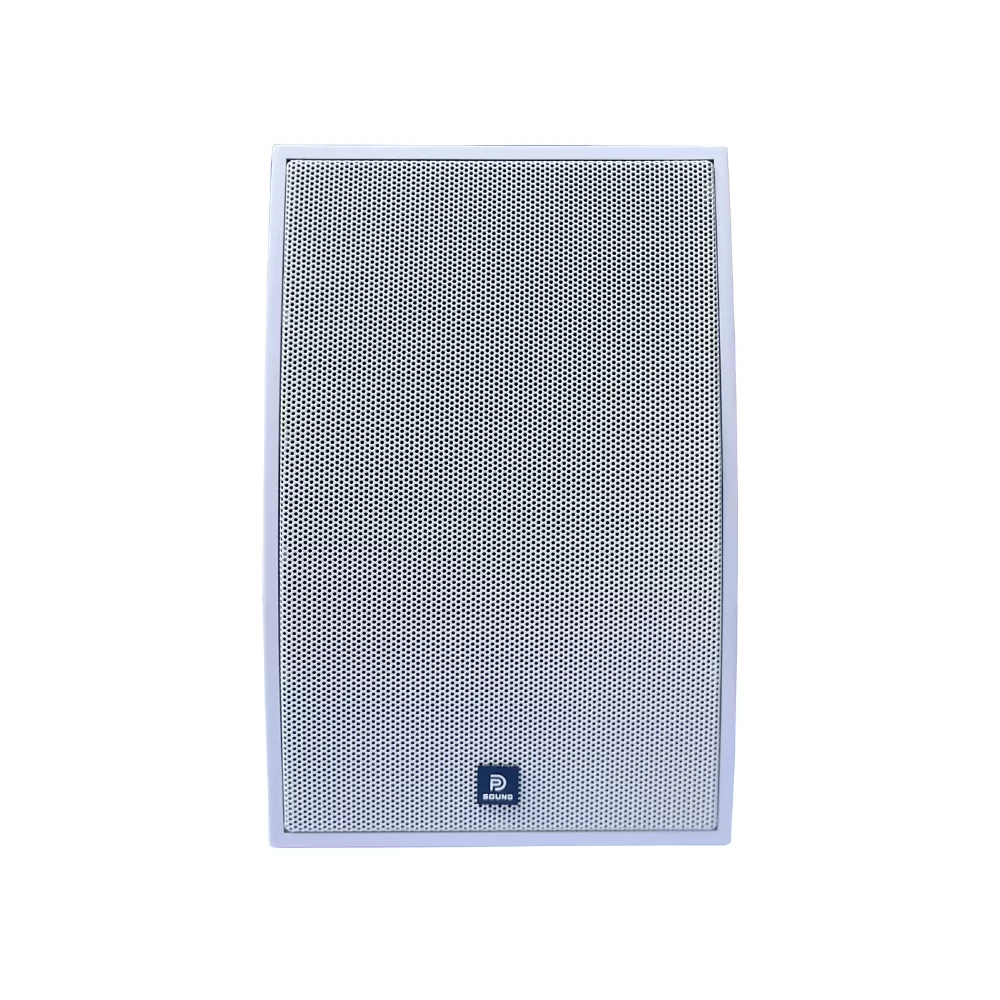 Loa treo tường Dp Sound WS - 621