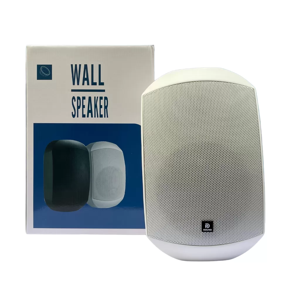 Loa Treo Tường Dp Sound WS - 623