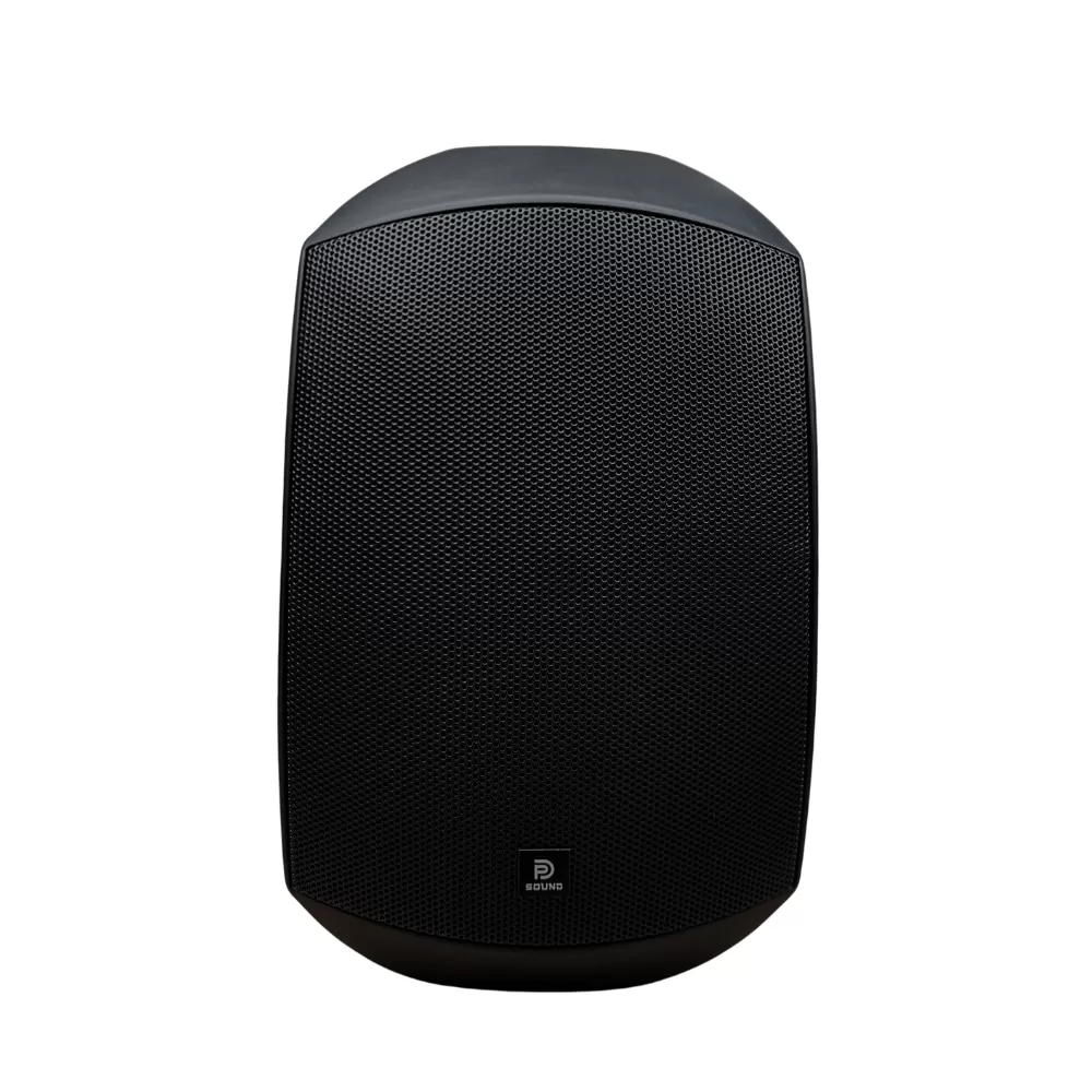 Loa Treo Tường Dp Sound WS - 623 (Chống Nước IP 64)