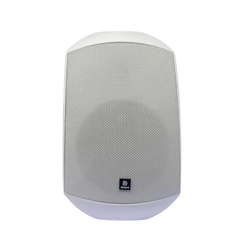 Loa Treo Tường Dp Sound WS - 623