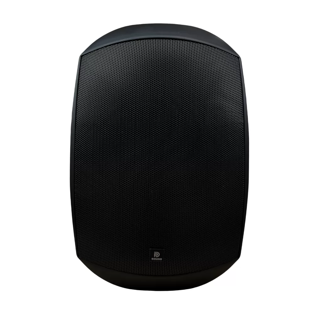 Loa Treo Tường Dp Sound WS - 625 (Chống Nước IP 64)