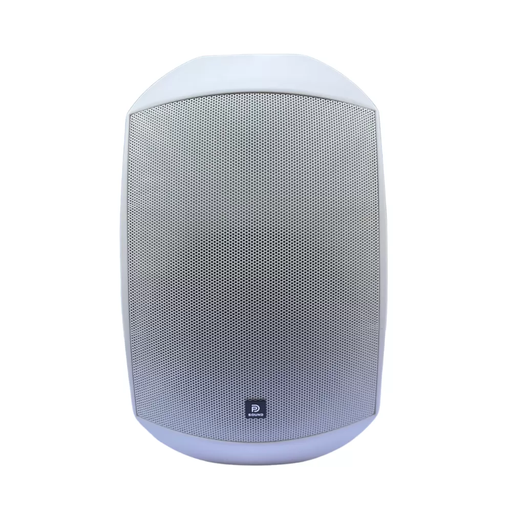 Loa Treo Tường Dp Sound WS - 625 (Chống Nước IP 64)