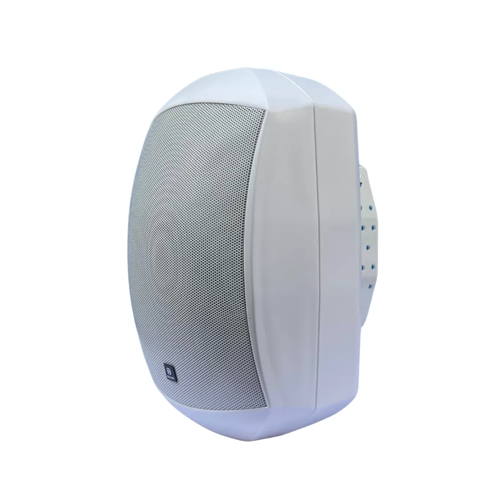 Loa Treo Tường Dp Sound WS - 625 (Chống Nước IP 64)